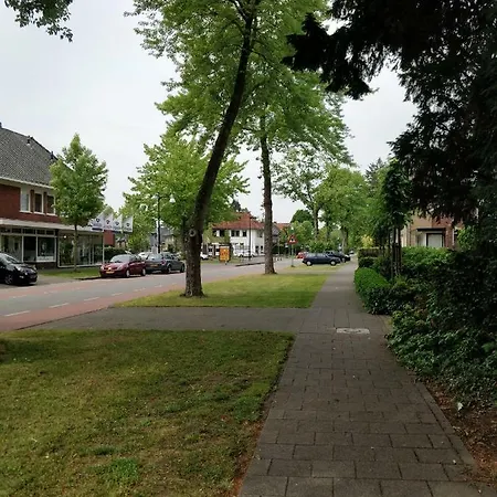Accommodatie bij particulieren Art Gallery 274 *